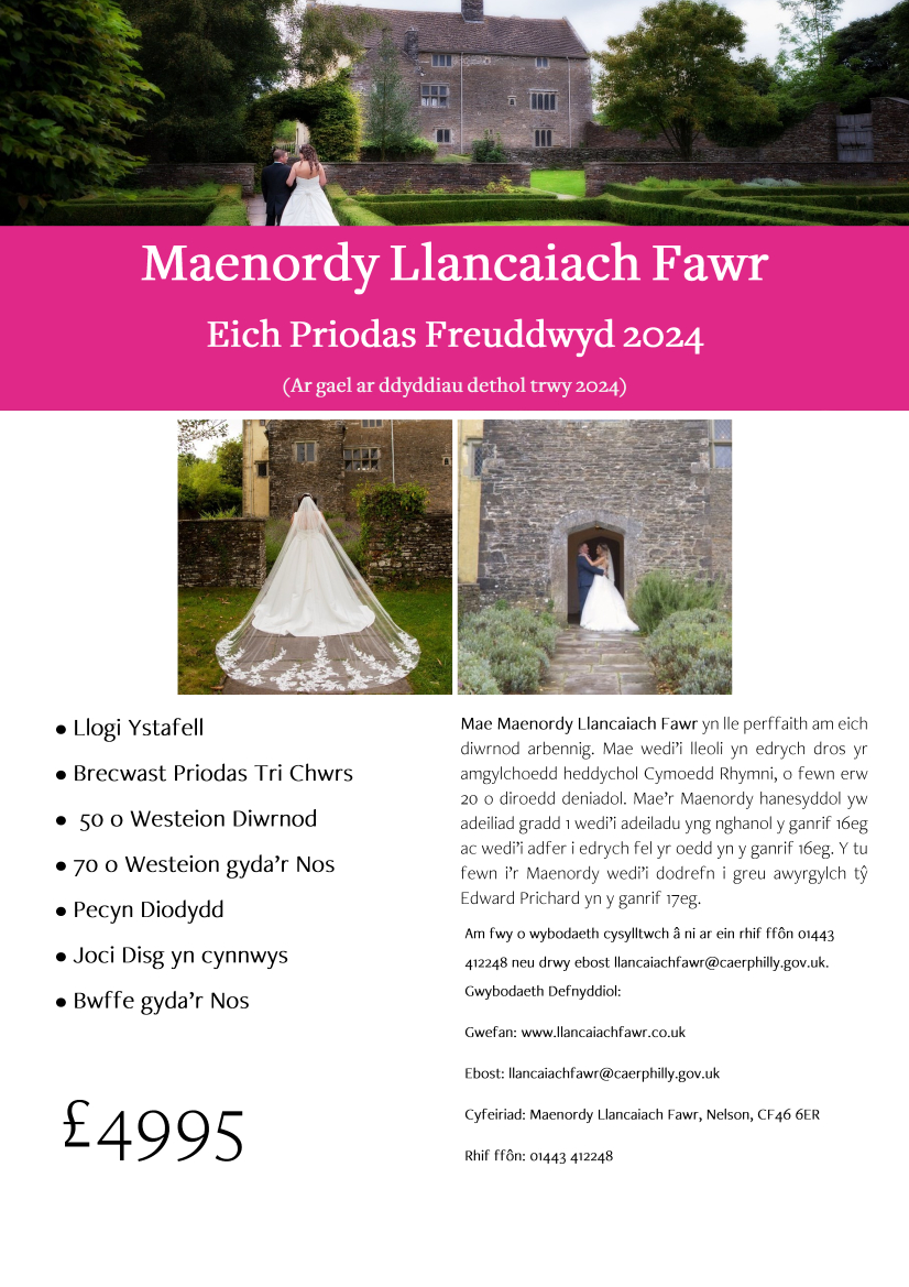 Wedding Offer flyer 2024 Welsh-